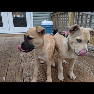 Meet your Posher, Russell